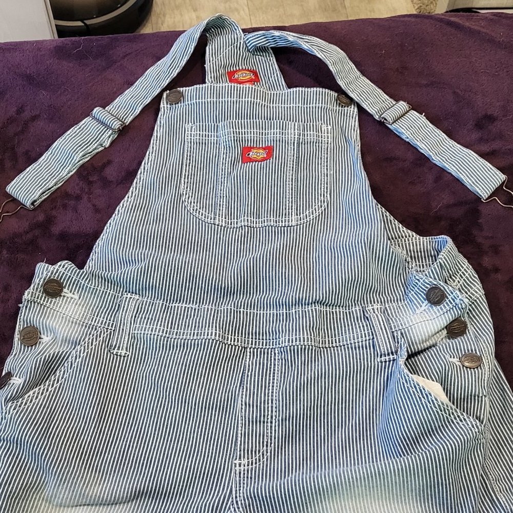 Dickies striped overalls